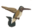 Kolibri Panzió