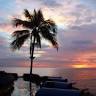 Konkan Trippy Stories