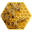 Medena Plus