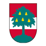 Hospital in the city of Dornbirn