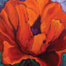 Krysteen Waszak Art Studio