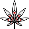 The Kure Cannabis Society