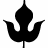 Kurotani Washi Paper Company