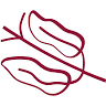 Karlovy Vary wafers Ltd.