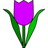 Kwiaciarnia Flora