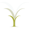 Kyrias Foundation