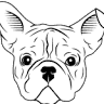 La Bouledogue