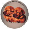 Labradors world Barcelona