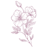 La Calla