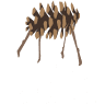 Laelta