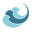 Laguna Surf