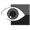 Laingsburg Eye Care, P.C.