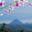 Lake Arenal Properties