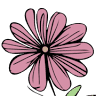 Lake City Floral
