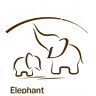 Lanna Kingdom Elephant Sanctuary