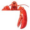 Ristorante Pizzeria L´aragosta
