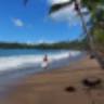 Playa Miguelito Escarraman