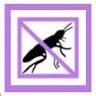 Lavender Pest Control