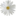 Lazy Daisy Flowers & Gifts