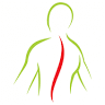 Litchfield County Orthopedic & Spine, P.C.