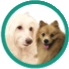 LD Veterinary Hospital