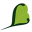 Leaf in the breeze