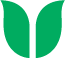 Leaf & Vine