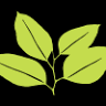 The Leaf Man Gutter Guard