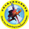 Czech Wushu kung fu federation Centrum