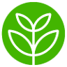 Learning Sprouts Children's Center & Preschool - Duxbury