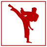 Karate USA