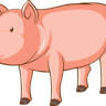 Le Cochon d'Or
