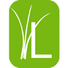 Lemongrass Thai Restaurant