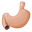 Leonpontebariatricsurgery