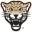 Leopard Football Camps