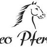 Leo Pferde
