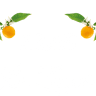 Le Zagare