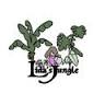 Lida's Jungle