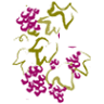 Lie de Vin