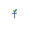 LifePoint Florissant