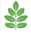 Kavirondo Herbs