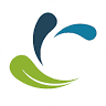 Life Springs Church