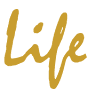 Life Style Gym