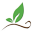 Life Tributes Funeral Home