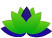 LILIUM Life Institute