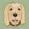 Lilly's Natural Pet Store