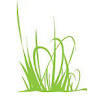 Lily Grass Floral Studio