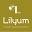 Lilyum Çiçekçilik ve Çikolata - Esentepe