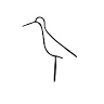 Limosa Rise