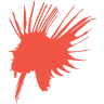 Szkoła Nurkowania Lionfish